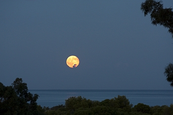 Watch the moon rise over the sea as you drift off to sleep