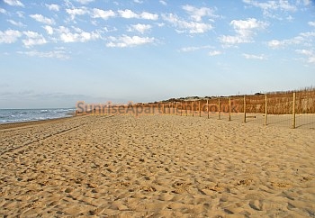 El Moncayo beach at Guardamar del Segura