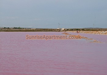 One of the salt lakes in the region of Guardamar del Segura